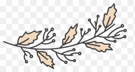 Decorative Line Divider Png - Clip Art