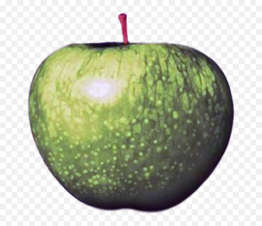 Beatles - Apple Logo Cutouts Apple Beatles Steve Jobs Png,Apple Logo Png Transparent Background