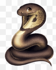 King Cobra - Png Hd Png Download Original Size Png Image Imagenes De Serpientes De Cobras,King Cobra Png