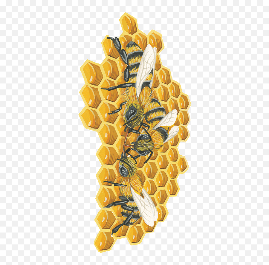 Download Bees - Honeycomb Png Image With No Art,Honeycomb Png