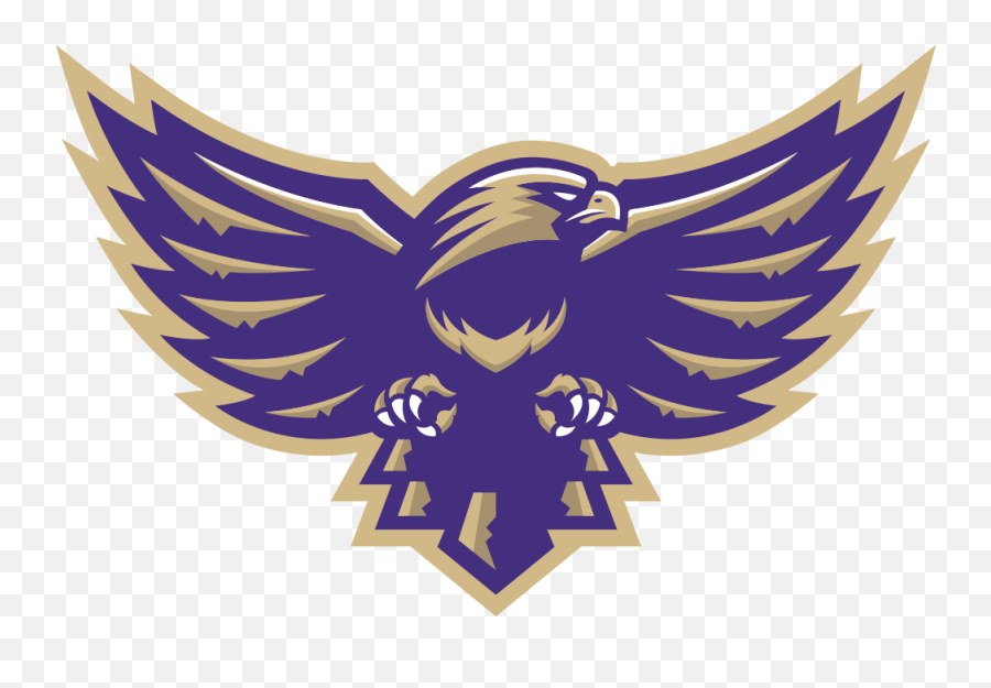 Falcon Logo Bird Logos Sports - Loras Duhawks Logo Png,Bird Logos