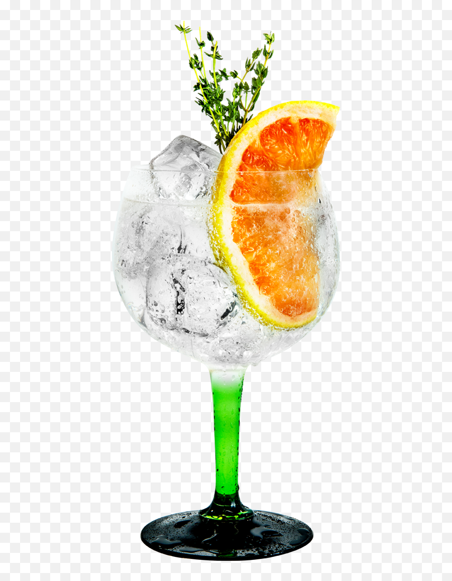 Cocktail Recipe - Tanqueray Drink Png,Grapefruit Png