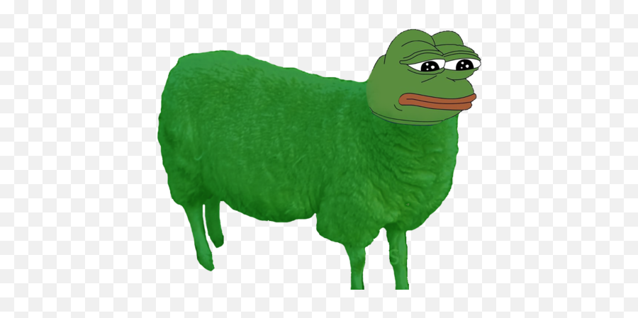 What Is A Shepepe Askfmsimilartoaboss - Pepe The Frog Sheep Png,Pepe The Frog Png
