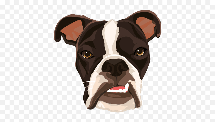 Cartoonize Your Dog - Boston Terrier Png,Dog Cartoon Png