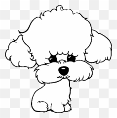 Puppy Poodle Coloring Page - Coloringcrewcom Perro Poodle Para Colorear Png,Poodle Png