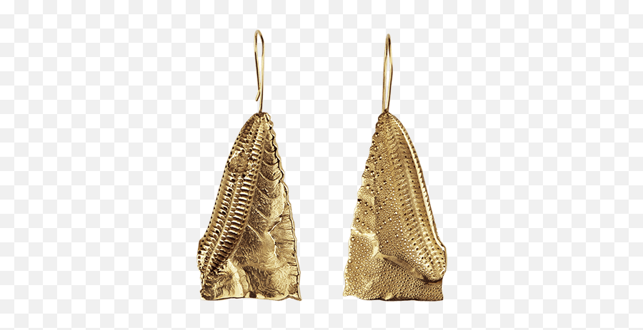 Gold Sand Dollar Earrings - Gold Earrings Png,Sand Dollar Png