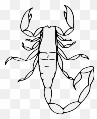 Scorpion Traceable Heraldic Art Details Png - Heraldic,Scorpion Png