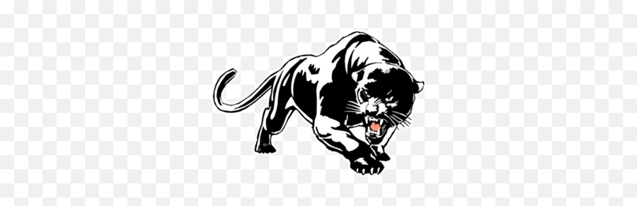 Panther Drawing Images - Drawing Black Panther Animal Pencil Png,Black  Panther Logo - free transparent png images 