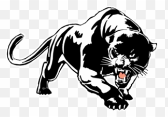 Panther Drawing Images - Black Animal Pencil png