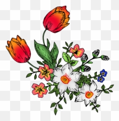 Free Photo Tulip Flowers Daffodil - Max Pixel png