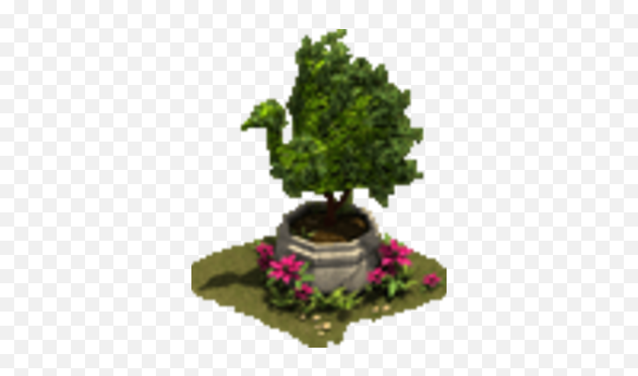 Peacock Hedge - Tree Png,Hedge Png