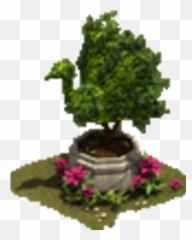 Peacock Hedge - Tree Png,Hedge Png
