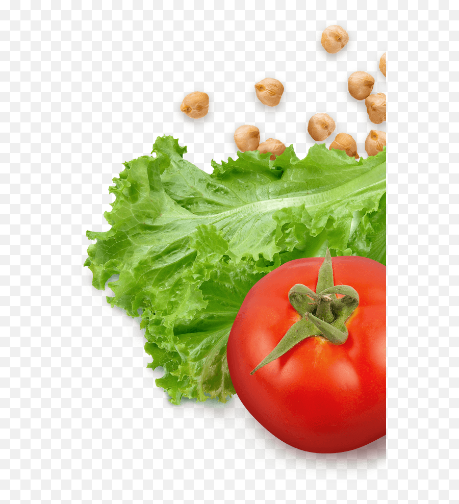 Cooking Classes - Lettuce And Tomatoes Png Full Size Png,Tomatoes Png
