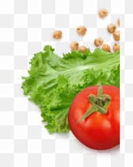 Cooking Classes - Lettuce And Tomatoes Png Full Size Png,Tomatoes Png