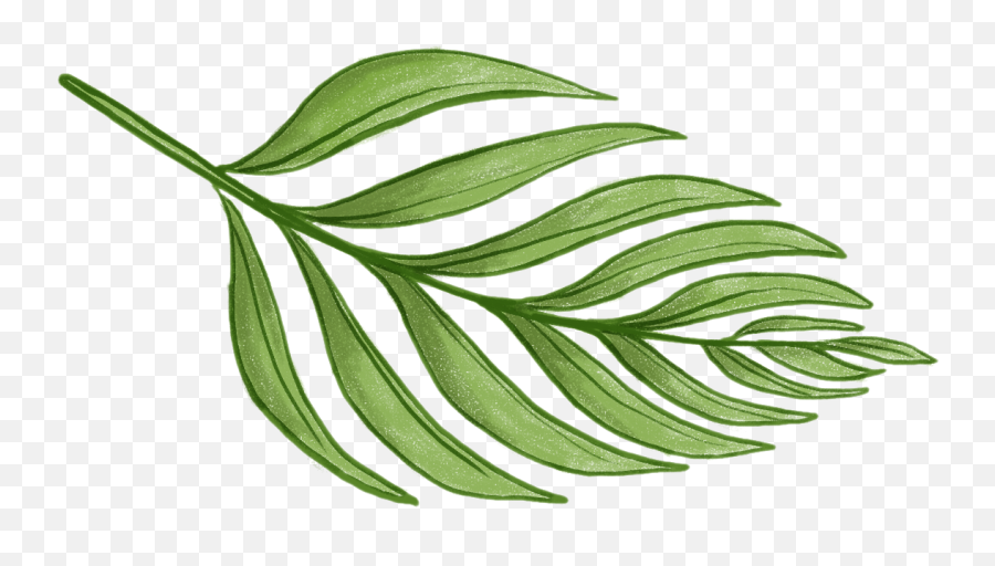 Never Not Knitting - Tropical Green Leaf Png,Fern Leaf Png