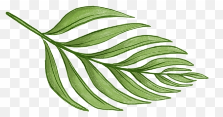 Never Not Knitting - Tropical Green Leaf Png