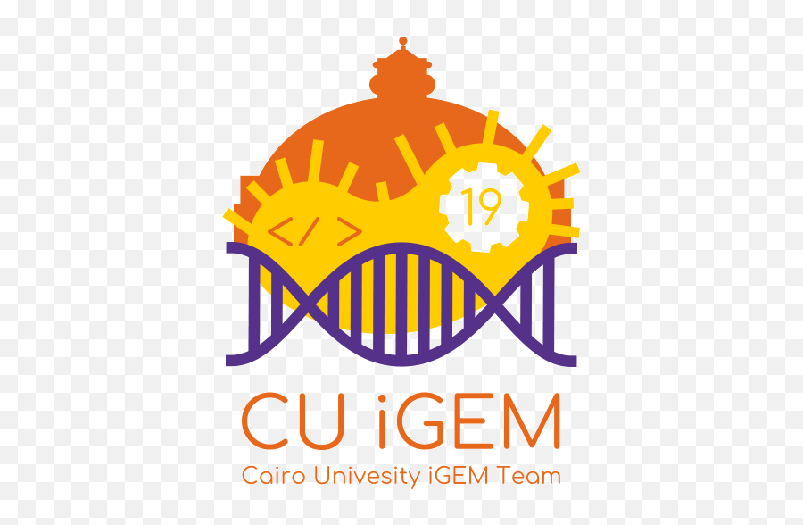 Teamkyotocollaborations - 2019igemorg Language Png,Icon Cu