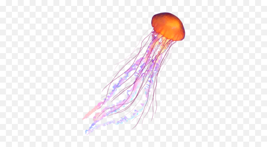 Png Jellyfish - Jellyfish Transparent Background Jellyfish Png,Transparent Jellyfish