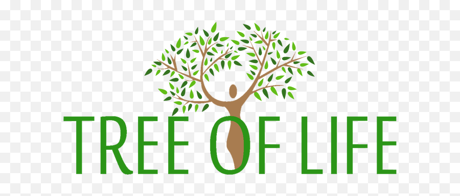 Tree Of Life Beauty - Tree Of Life Niacinamide Serum Png,Tree Of Life Icon