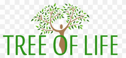 Tree Of Life Beauty - Of Niacinamide Serum png