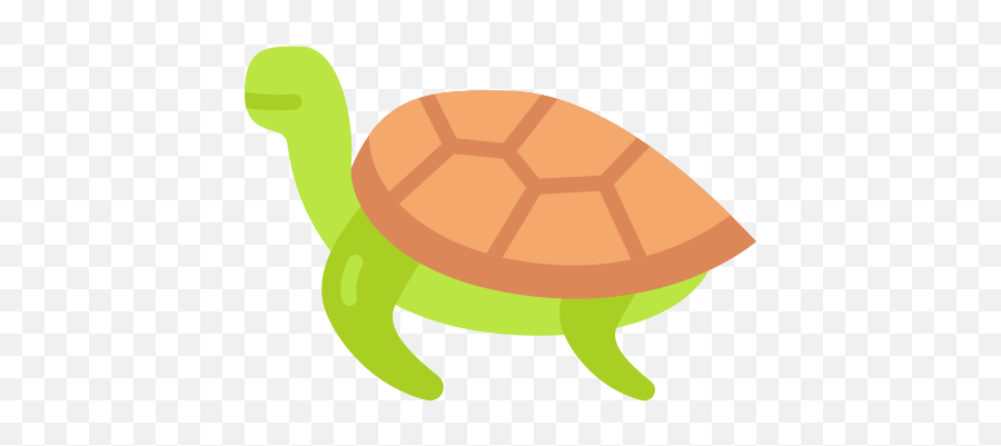 Turtle - Free Animals Icons Animal Figure Png,Sea Turtle Icon