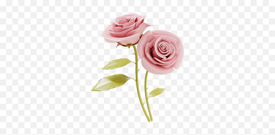 Premium Couple Of Rose Flower 3d Illustration Download In - Floral Png,Rose Flower Icon