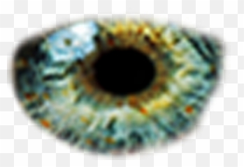 Virus Concept Editing Background U0026 Png Download