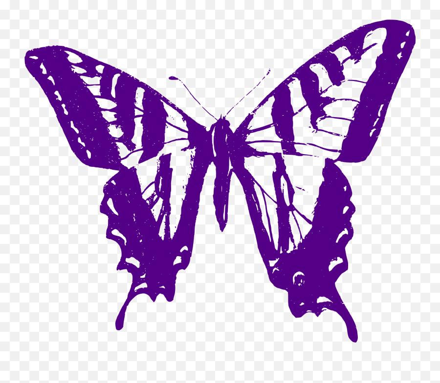 Download Big Image - Transparent Butterfly Outline Purple Png,Purple Butterfly Png