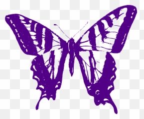 Download Big Image - Transparent Butterfly Outline Purple Png,Purple Butterfly Png