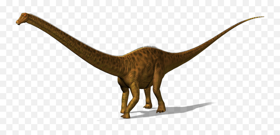 Dinosaur Png Image - Diplodocus Png,Dinosaur Png