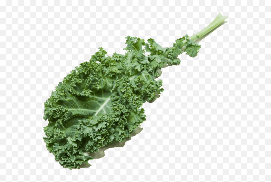 Comparing Kale Cooku0027s Illustrated - Kale Hd Png,Kale Png