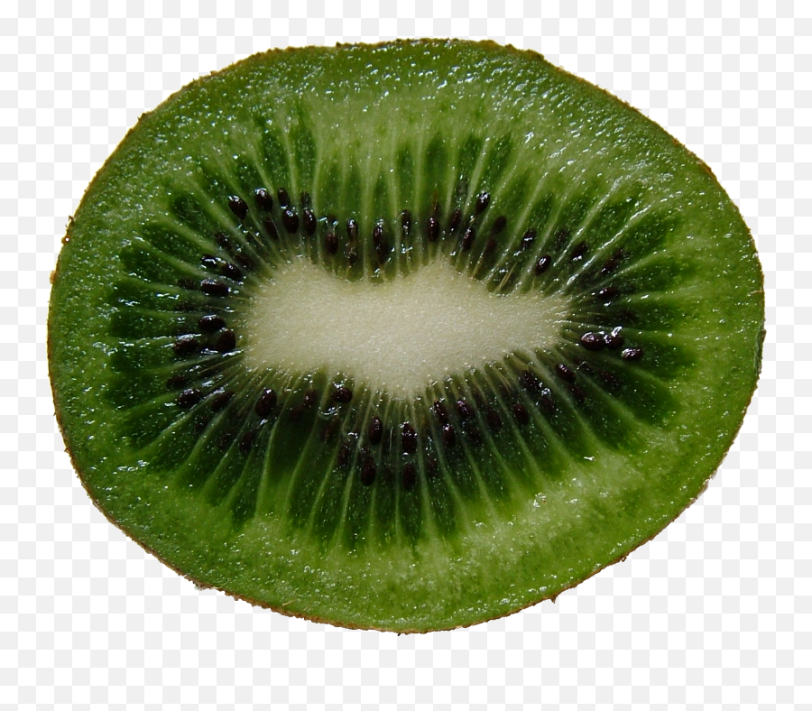 Kiwi Png Image For Free Download - Kiwifruit,Kiwi Transparent