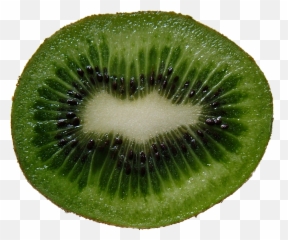 Kiwi Png Image For Free Download - Kiwifruit,Kiwi Transparent