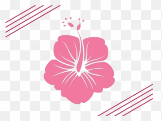 Hawaii Flower Silhouette Clip Art - Artistic spring pink Hawaiian Vector Free png