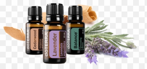 Providing You With Safe Essential Oils Sourcetoyou - Doterra Clove Melaleuca Onguard Png,Doterra Png