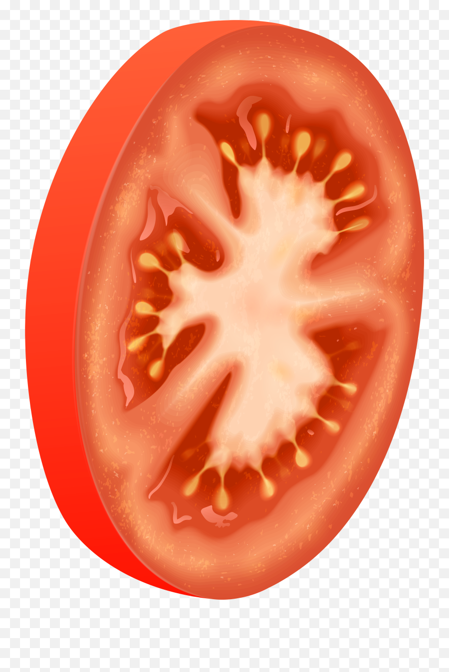 Tomatoes Clipart Circle Transparent Free - Circle Tomatoes Png,Tomato Png