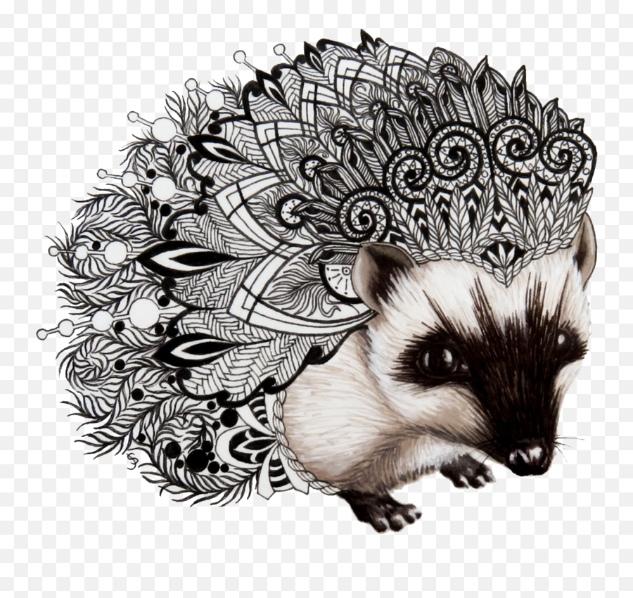 Hedgehog Zentangle - Dekokissen Png,Hedgehog Png