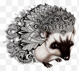 Hedgehog Zentangle - Dekokissen png