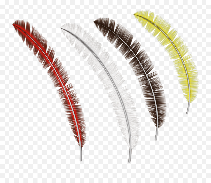 Feather Png Transparent - Portable Network Graphics,Feathers Transparent