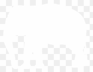 White Elephant 4 Icon - Png