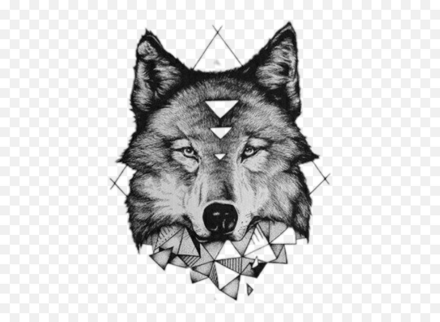 Download Report Abuse - Geometric Wolf Tattoo Png,Lobo Png
