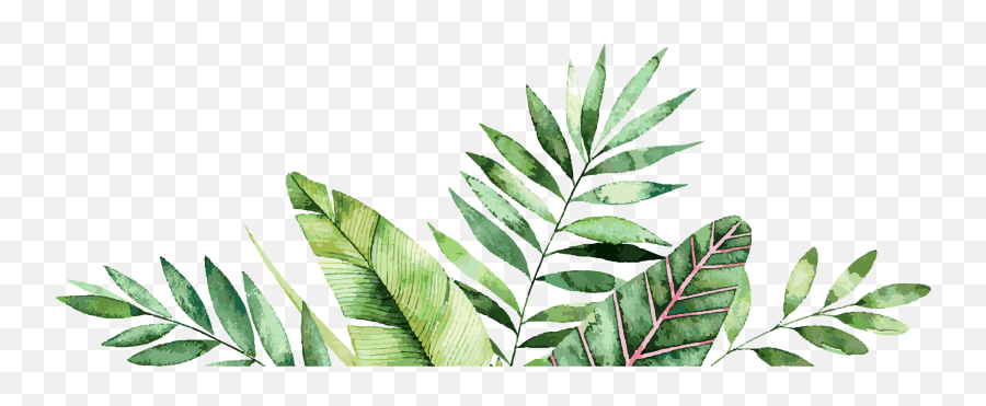 Download Palm Leaves Graphic - Bordure Tropical Png,Palm Tree Leaf Png ...