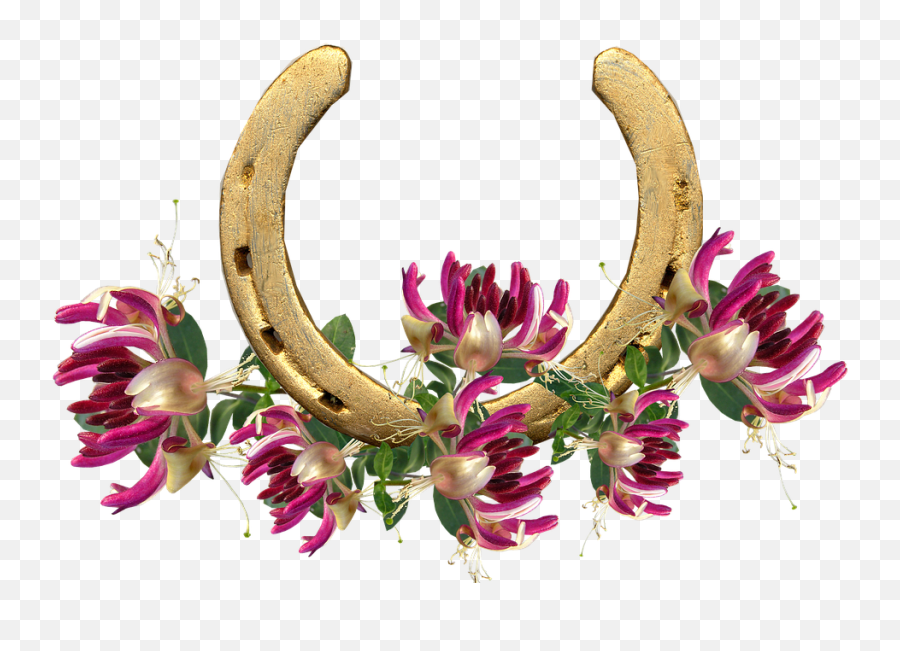 Horse Shoe Honeysuckle Lucky - Honeysuckle And Roses Flower Png,Honeysuckle Png