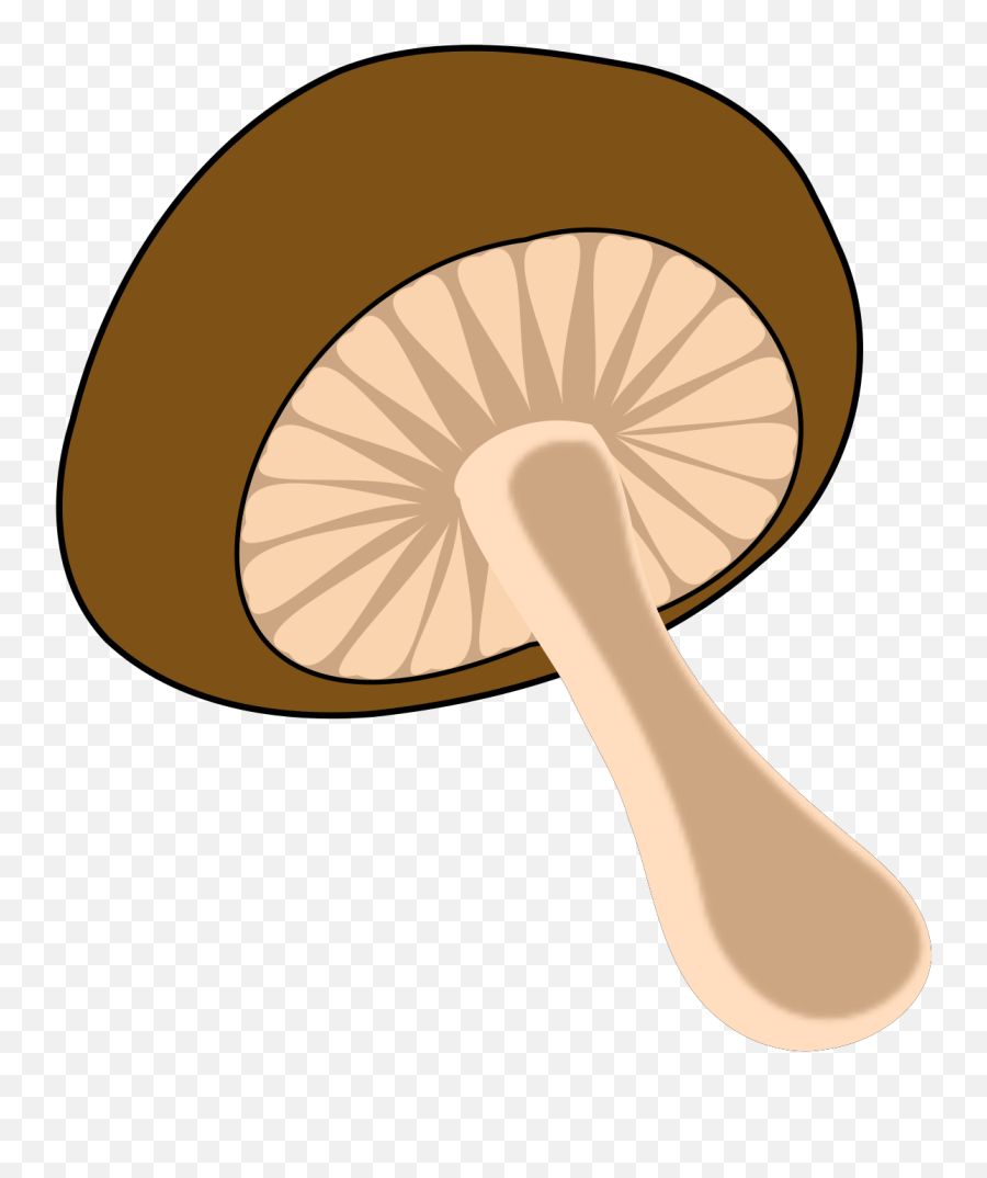 Wild Mushroom Svg Vector Clip Art - Svg Clipart Mushroom Clipart Png,Mushroom Transparent