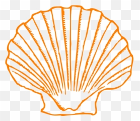 Seashells Clipart Orange - Shell Clipart Png Transparent Purple Shell Clip Art,Seashell Clipart Png