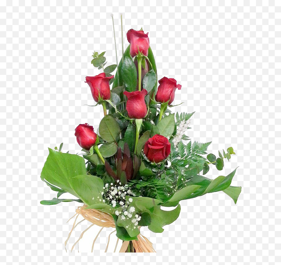 6 Rosas Rojas - Floral Png,Rosas Rojas Png