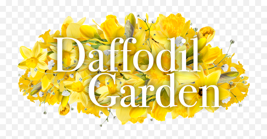 Daffodil Days 2021 - Language Png,Daffodil Icon