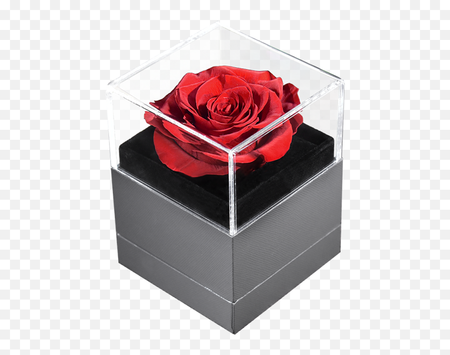 Clear Transparent Acrylic Display Box Packaging Free Sample Wholesale Creative Design Luxury Rose With Drawer - Buy Acrylic Rose Wedding Ceremony Supply Png,Pearl Icon Curved Rack