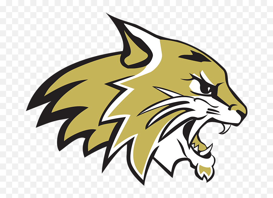 Wildcat Standards - Wildcats Neosho High School Png,Wildcat Icon