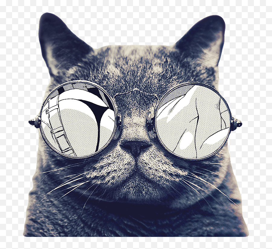 Download Free Pink Dog Cat Animal Kitten Cuteness Icon - Transparent Cat With Glasses Png,Dog And Cat Icon